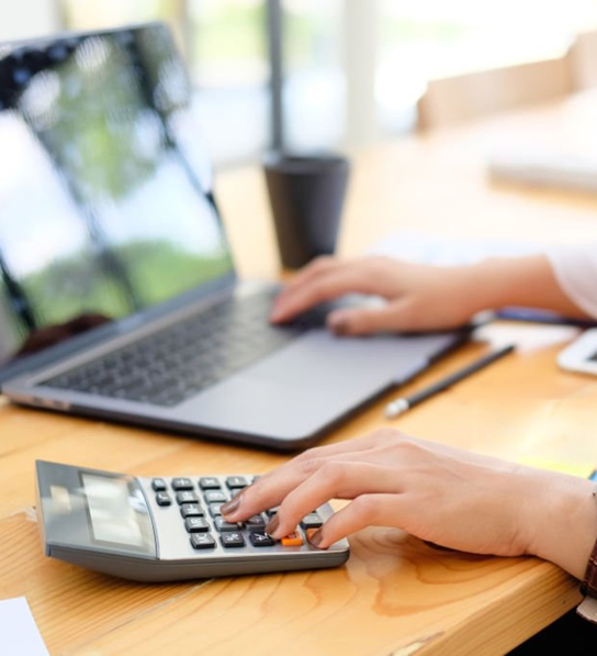 Professional Accounting Services UAE